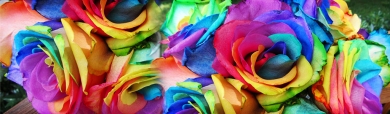 charming-artificial-colored-flowers-web-header