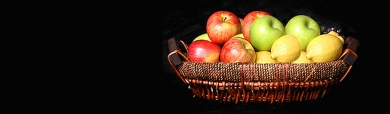 fruits-basket-web-header