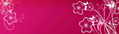 girly-flowers-pink-background-header