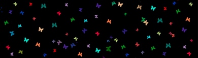 colorful-butterflies-background-header