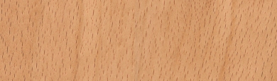 closeup-beech-wood-grains-header