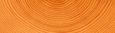 tree-wood-circles-background-header